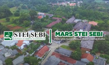 Mars STEI SEBI