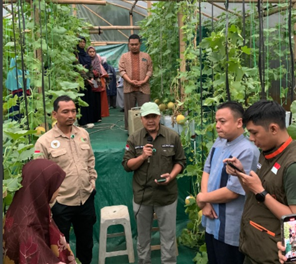 Panen Raya Melon Inthanon: Kolaborasi Institut SEBI, Zakat Sukses, dan Wakaf Sukses