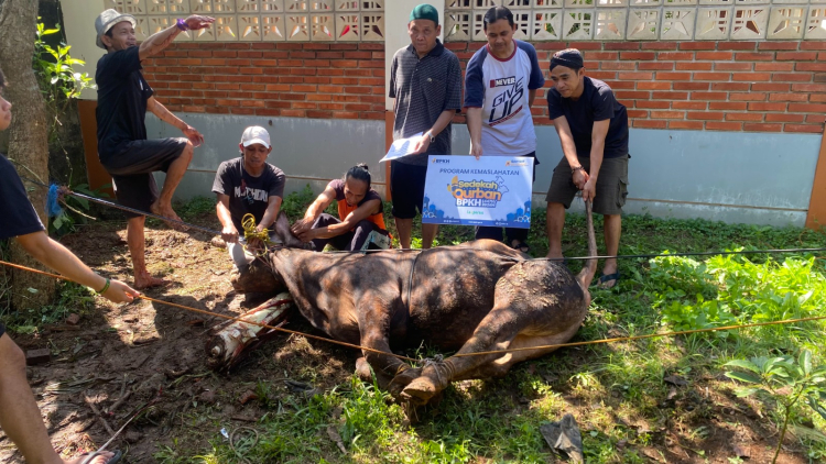 Institut SEBI Salurkan Hewan Qurban Program Kemaslahatan BPKH dan LAZ Persis untuk Karyawan dan Masyarakat